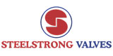 Steel Strong Valves